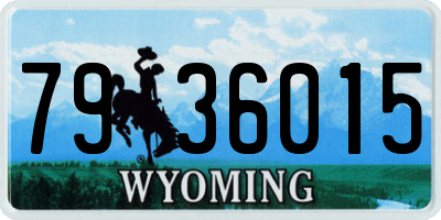 WY license plate 7936015