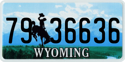 WY license plate 7936636