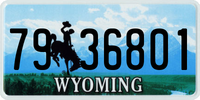 WY license plate 7936801