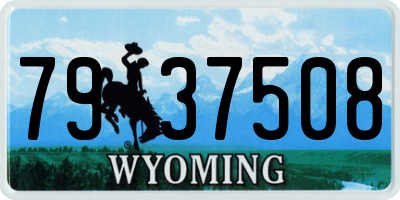 WY license plate 7937508