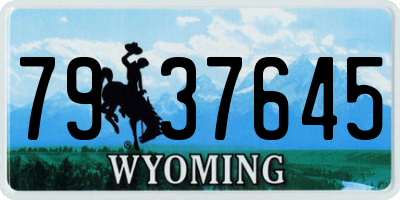 WY license plate 7937645