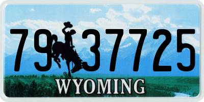 WY license plate 7937725