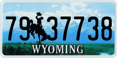 WY license plate 7937738