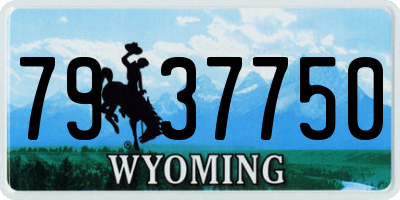 WY license plate 7937750