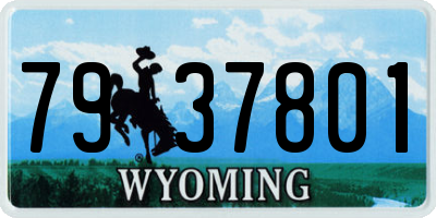 WY license plate 7937801