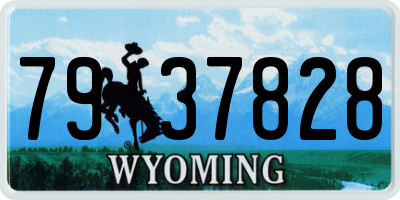 WY license plate 7937828