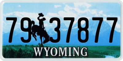 WY license plate 7937877