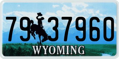 WY license plate 7937960