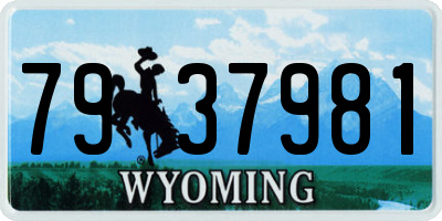 WY license plate 7937981