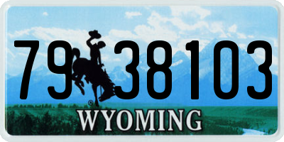 WY license plate 7938103