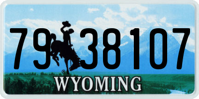WY license plate 7938107