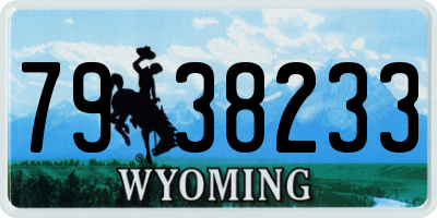 WY license plate 7938233