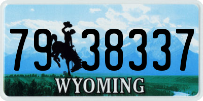 WY license plate 7938337