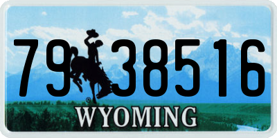 WY license plate 7938516