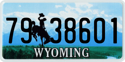 WY license plate 7938601
