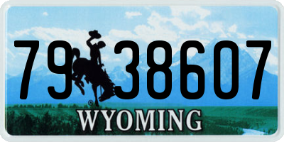 WY license plate 7938607