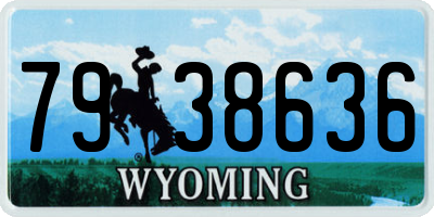 WY license plate 7938636