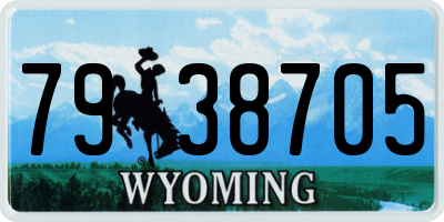 WY license plate 7938705