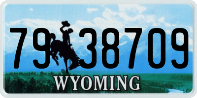 WY license plate 7938709