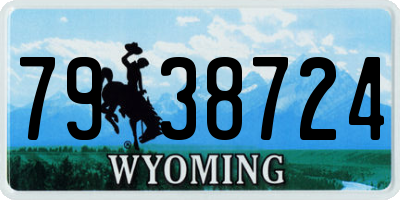 WY license plate 7938724