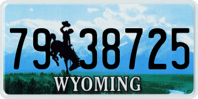 WY license plate 7938725