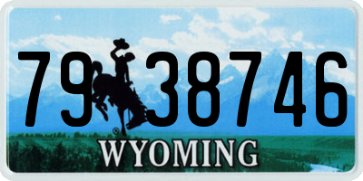 WY license plate 7938746
