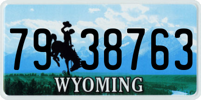 WY license plate 7938763