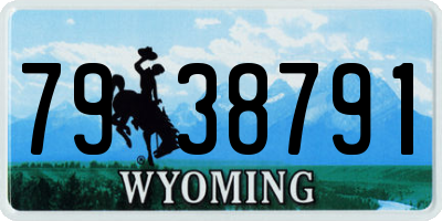 WY license plate 7938791