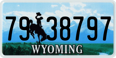 WY license plate 7938797