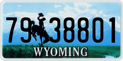 WY license plate 7938801
