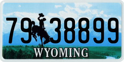 WY license plate 7938899