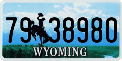 WY license plate 7938980