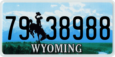 WY license plate 7938988