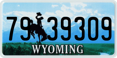 WY license plate 7939309