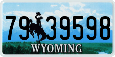 WY license plate 7939598