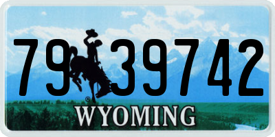 WY license plate 7939742