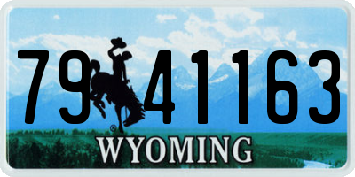 WY license plate 7941163