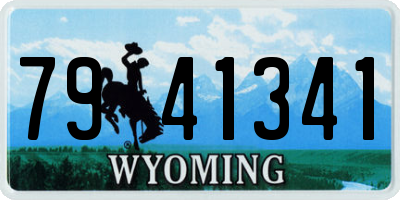 WY license plate 7941341