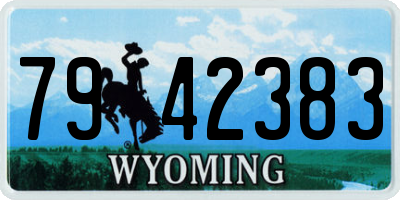 WY license plate 7942383