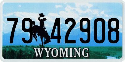 WY license plate 7942908