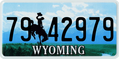 WY license plate 7942979