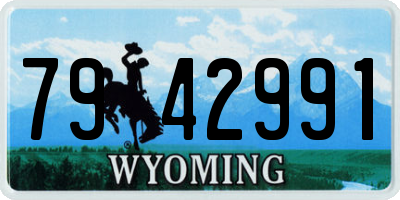 WY license plate 7942991
