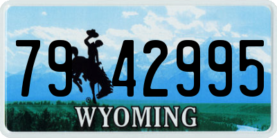 WY license plate 7942995