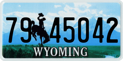 WY license plate 7945042