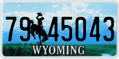 WY license plate 7945043