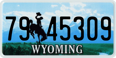 WY license plate 7945309