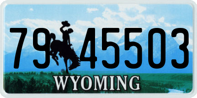 WY license plate 7945503