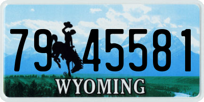 WY license plate 7945581