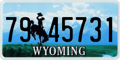 WY license plate 7945731