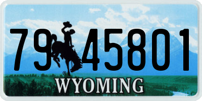 WY license plate 7945801